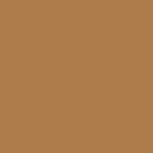 Evenflo Almond — Brow Set Single — 1/2oz - Ultimate Beauty
