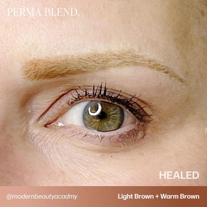 Light Brown — Perma Blend — 1/2oz Bottle - Ultimate Beauty