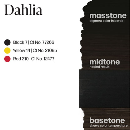 Dahlia - Ultimate Beauty