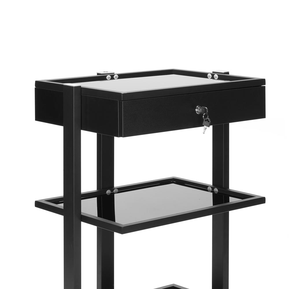 Fellowship Locking Cabinet for Rolling Cart — Black - Ultimate Beauty