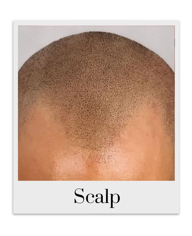 permanent makeup scalp pigments