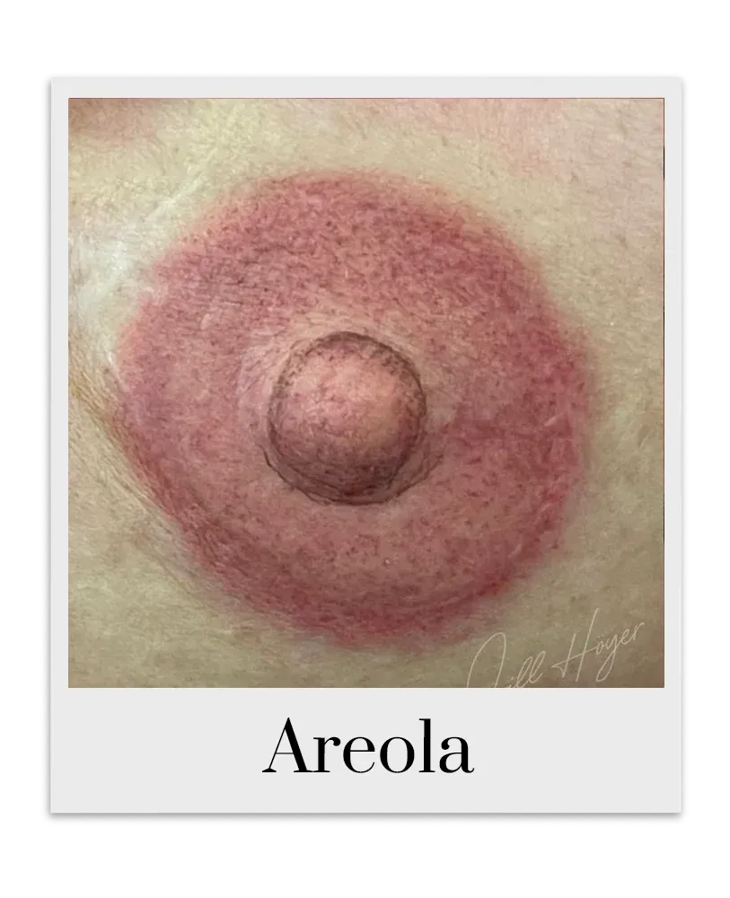 permanent makeup areola pigments