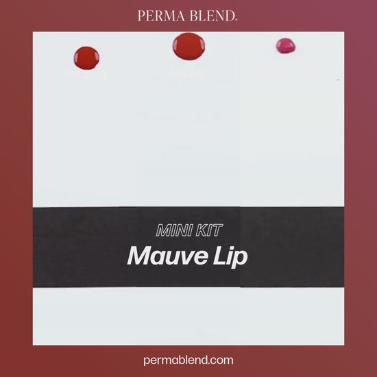 Perma Blend – Mauve Lip Mini Set