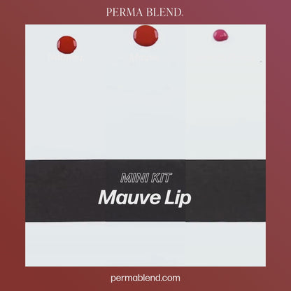 Perma Blend – Mauve Lip Mini Set