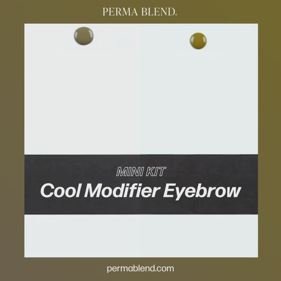 Perma Blend – Cool Modifier Eyebrow Mini Set