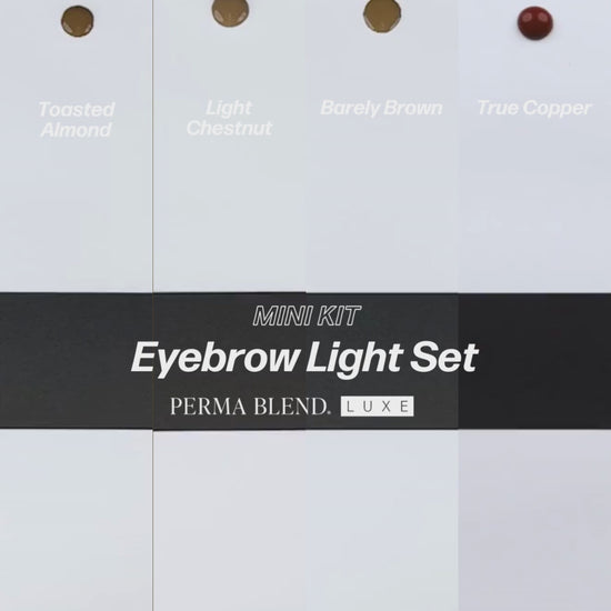 LUXE Light Brows Mini Set
