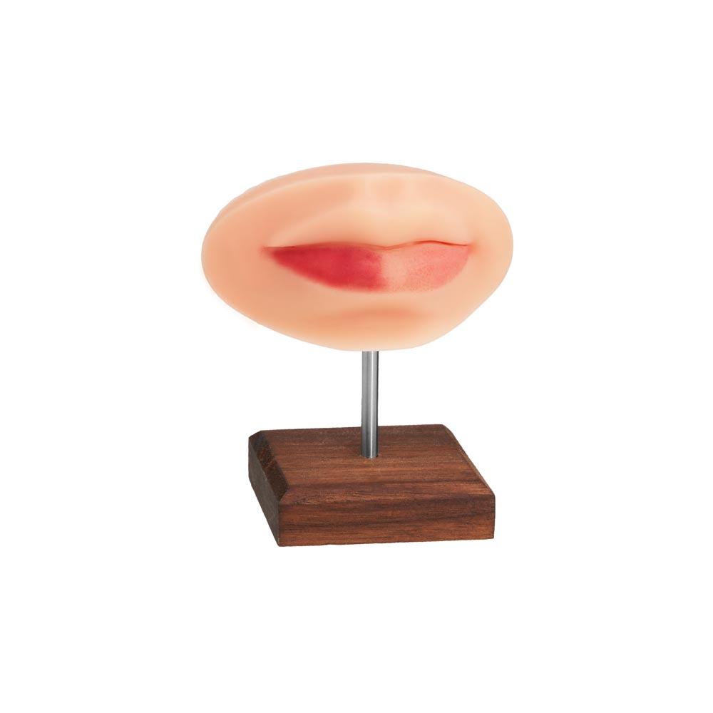A Pound of Flesh PMU Practice Lips — Fitzpatrick Tone 2 - Ultimate Beauty