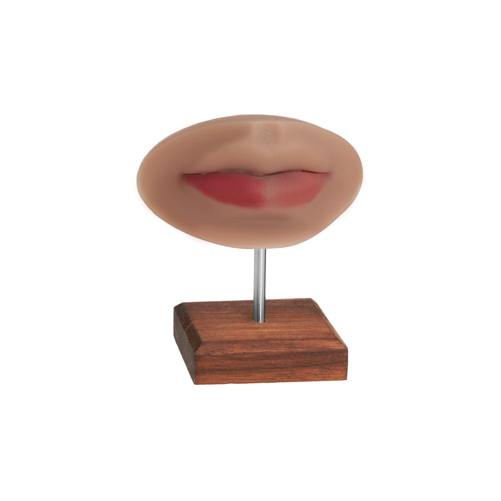 A Pound of Flesh PMU Practice Lips — Fitzpatrick Tone 4 - Ultimate Beauty