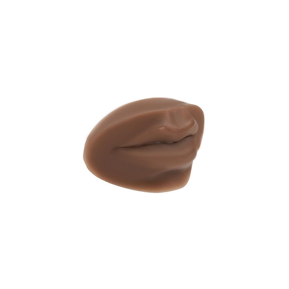 A Pound of Flesh PMU Practice Lips — Fitzpatrick Tone 5 - Ultimate Beauty