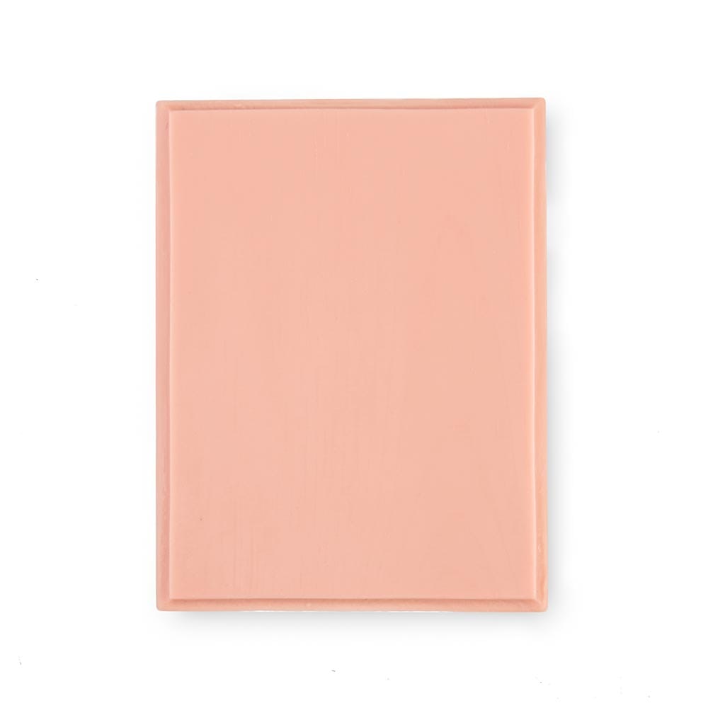 A Pound of Flesh Tattooable Rectangular Plaque — Pink Tone