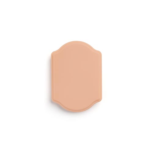 A Pound of Flesh Micro Series Tattooable Synthetic Small Plaque in Fitzpatrick Tone 2