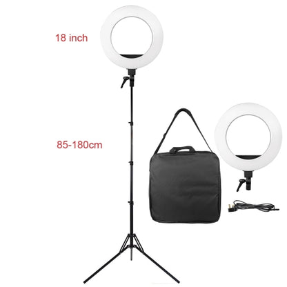 LED 18” Round Head Floor Lamp - Ultimate Beauty