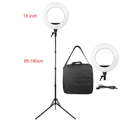 LED 18” Round Head Floor Lamp - Ultimate Beauty