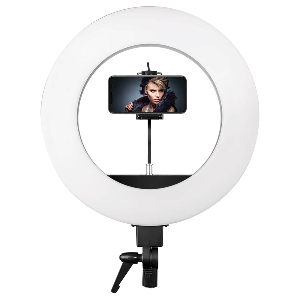 LED 18” Round Head Floor Lamp - Ultimate Beauty